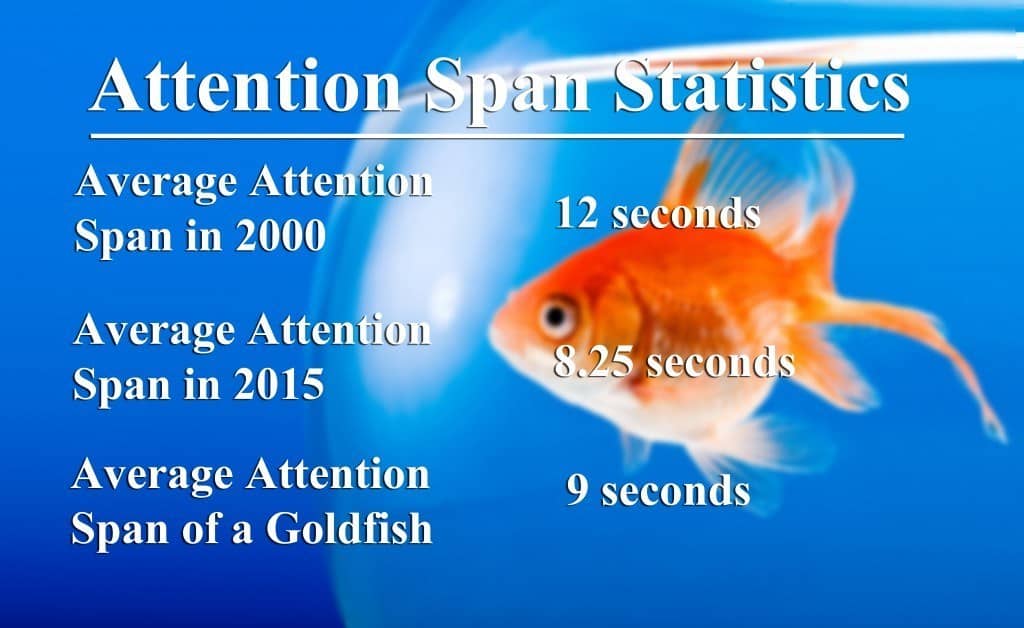 Attention Span