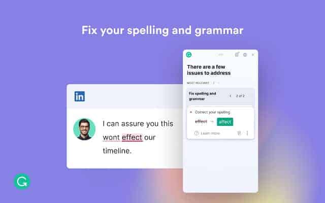 grammarly add on